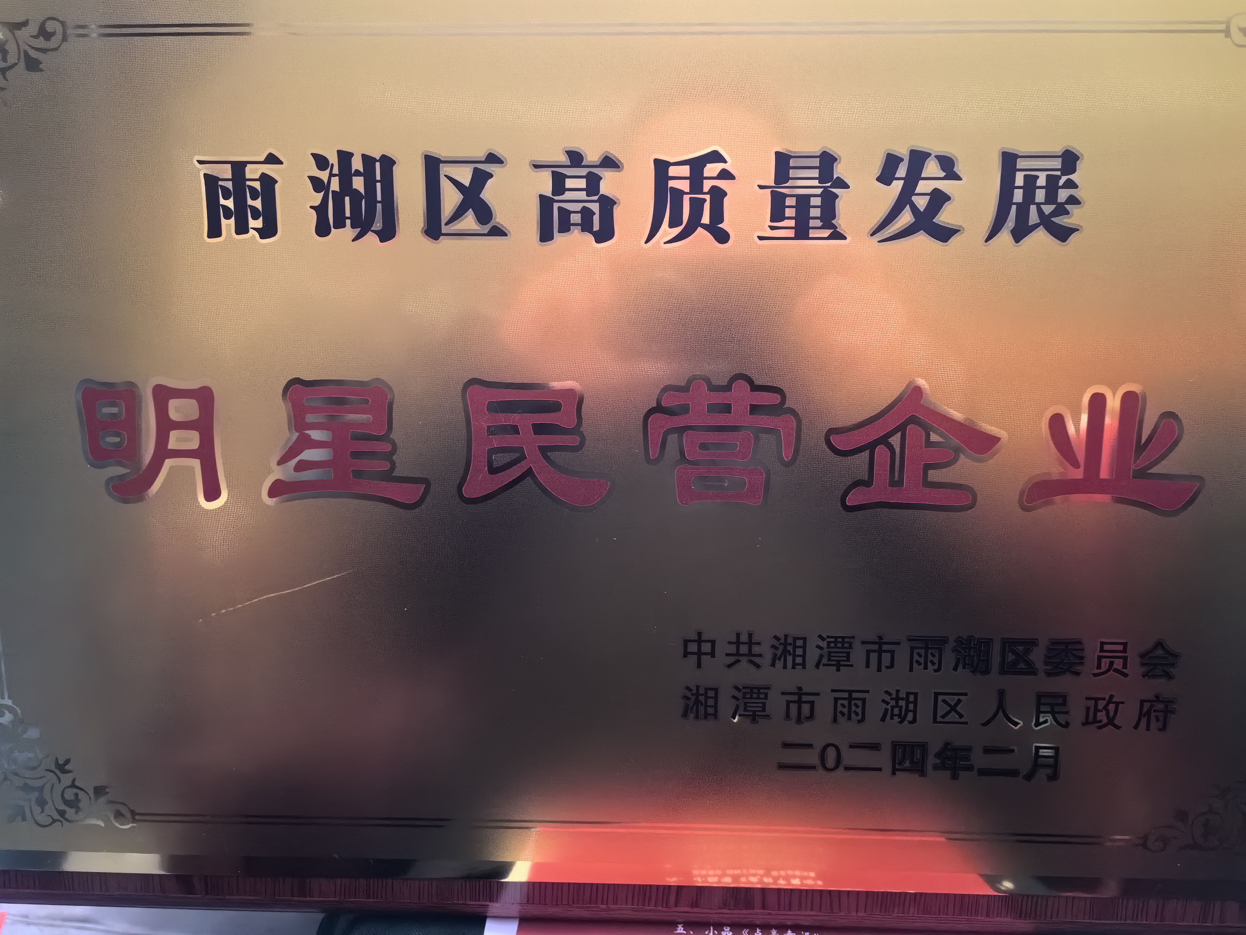 球盟会荣获“雨湖区高质量发展明星民营企业”称号